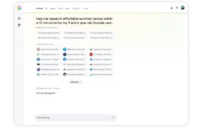 AI Overviews
